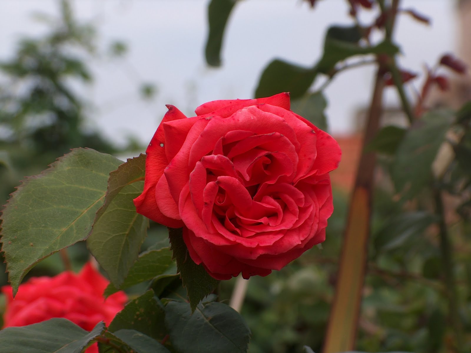 Spirituele Vrienden Blog augustus 2010