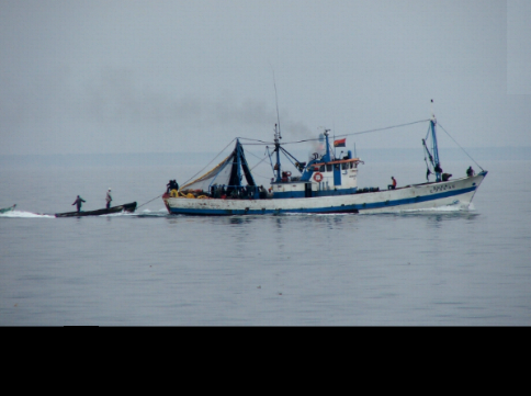 [pesca+4.PNG]