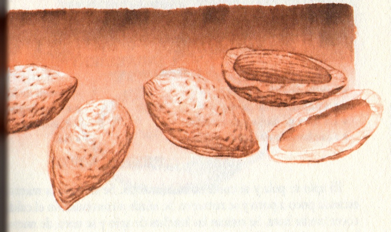[Postres.jpg]