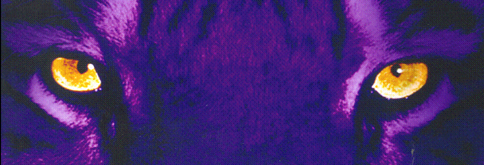[DARK+TIGER+EYES+(britt).GIF]