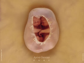 anne geddes wallpaper. anne geddes wallpapers. anne geddes wallpaper.