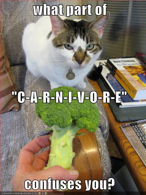 [funny-pictures-angry-cat-wonders-what-part-of-carnivore-confuses-you.jpg]