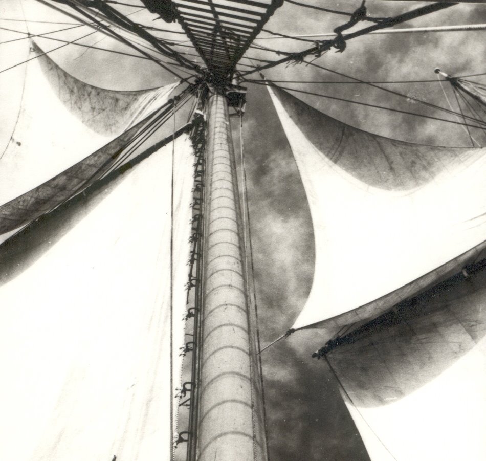 [3.+Velame.F.+B..jpg]