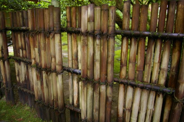 The Grackle: gardens: Fence Inspirations from Portland