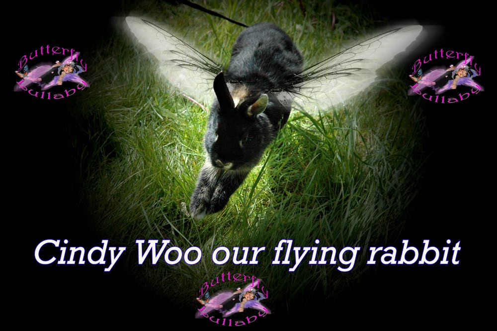 Butterfly Lullaby Sharon J. Bainbridge Cindy Woo our pet bunny