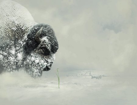 [419851682_fdd7c36a57_o.jpg]