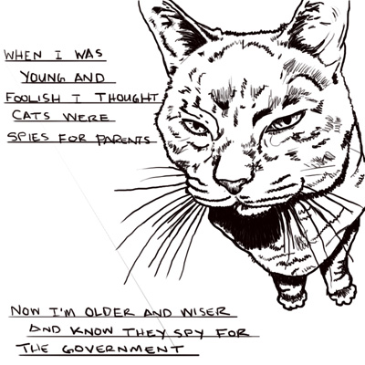 [cat_spies.jpg]