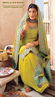 Hot Indian Saree Model