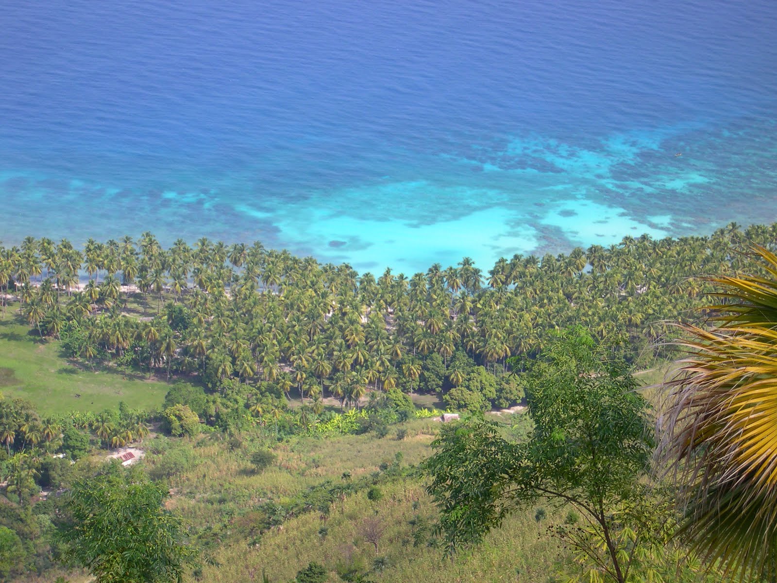 Petit Goave