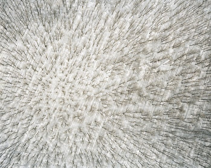 [eamon_macmahon1.jpg]