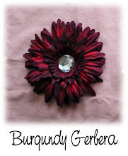 Burgundy Gerbera