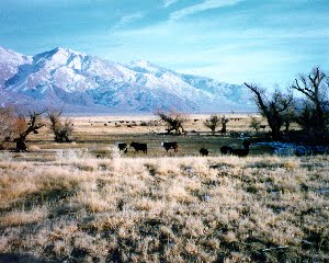 Family Ranch