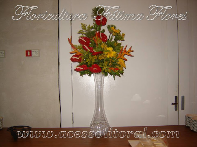 Floricultura Fatima Flores 13