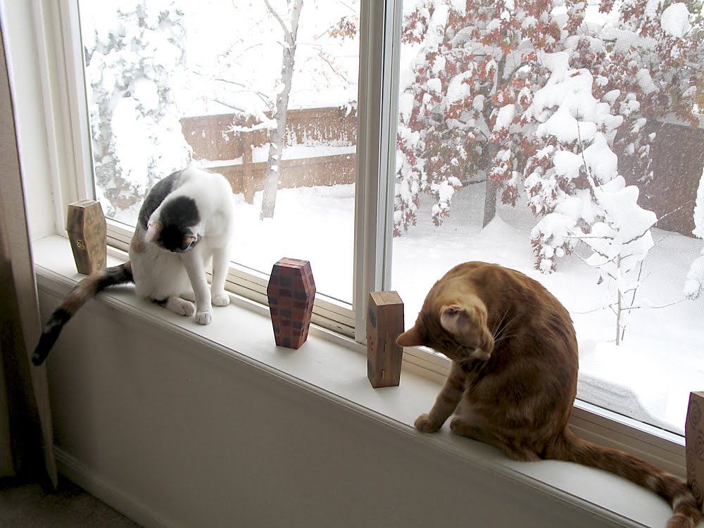 [Snow-Kitties5.jpg]