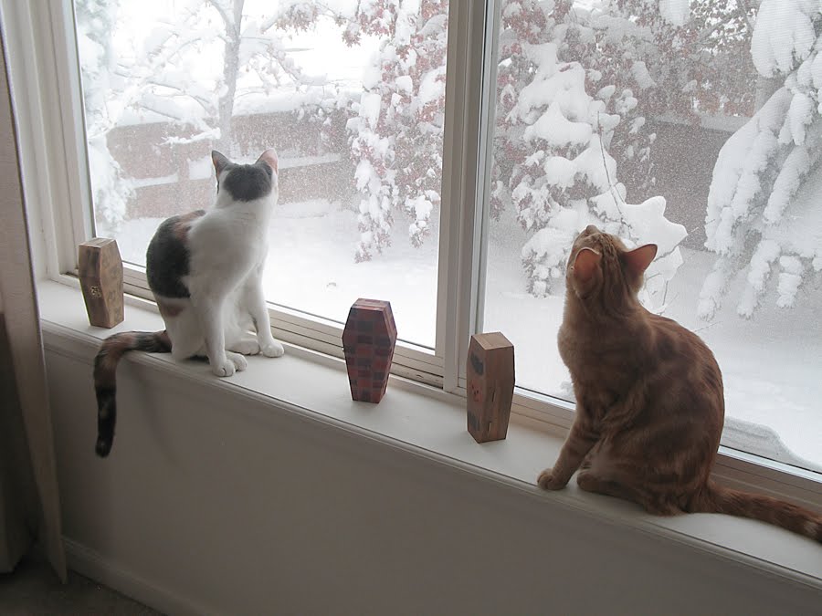 [Snow-Kitties3.jpg]