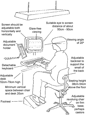 Posture While Studying