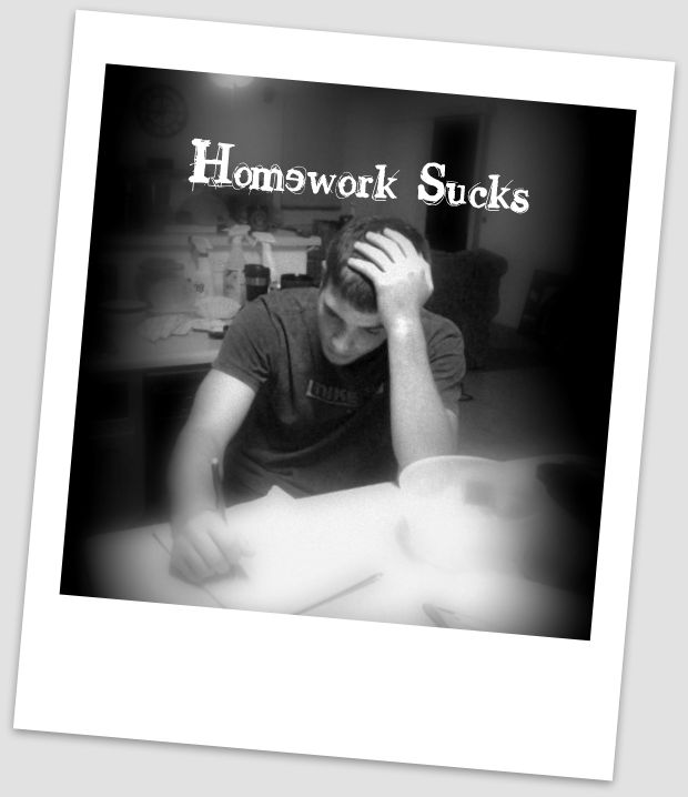 [Homework+Sucks-edited.jpg]