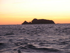 Den una donación a los patos que no tienen para ganarse el pan