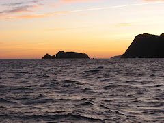 Foto dedicada a los patos sin hogar