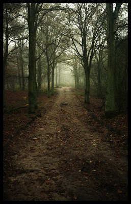 Dark Road by MOSREDNA