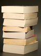 [bookstack1.jpg]