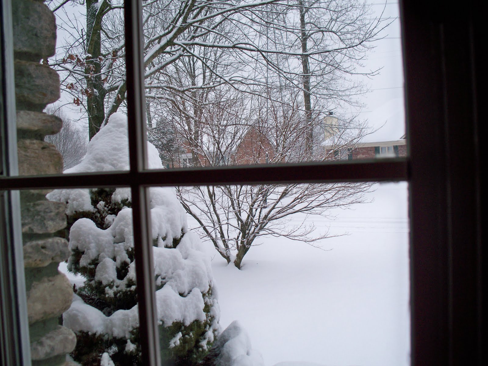 [February,+2010+039.JPG]