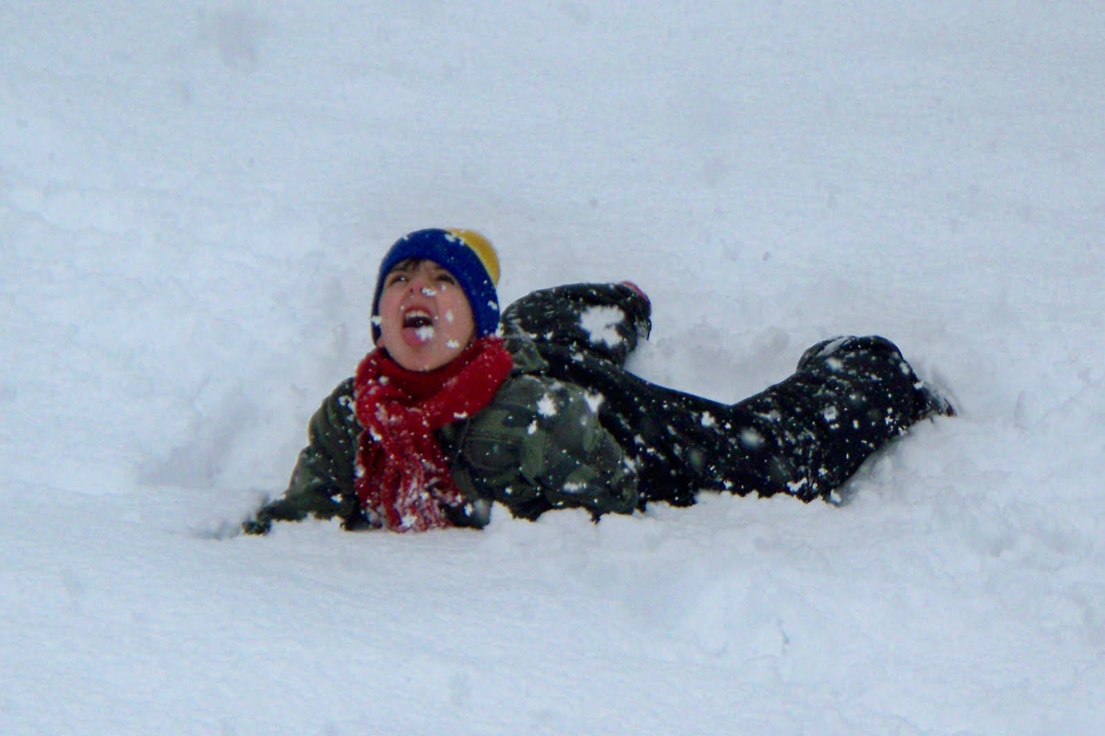 [February,+2010+053.JPG]