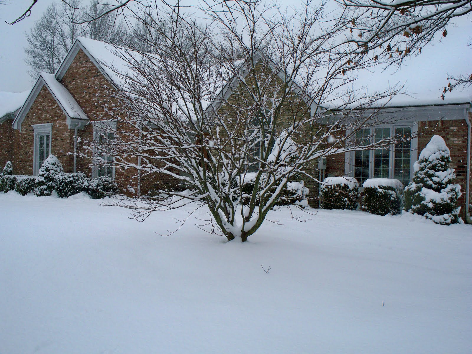 [February,+2010+071.JPG]