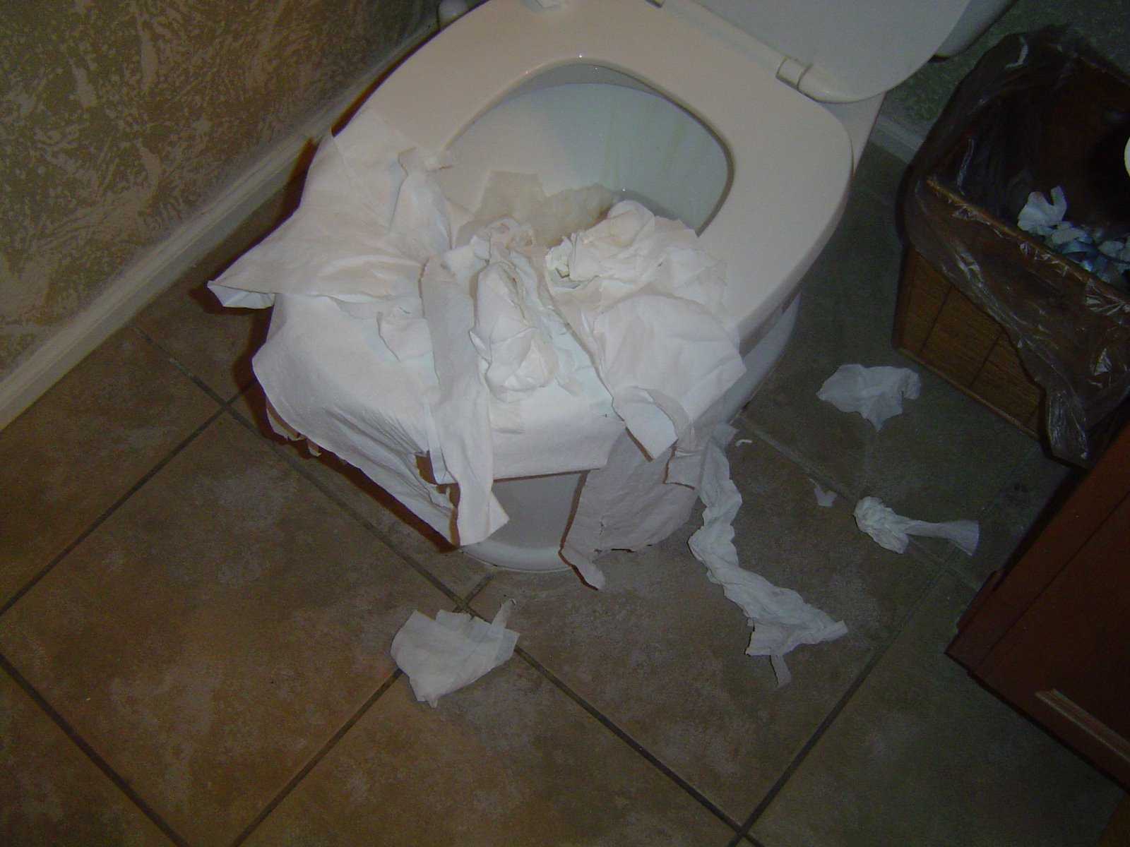 [TOILET.JPG]