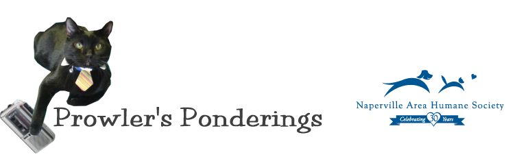 Prowler\
