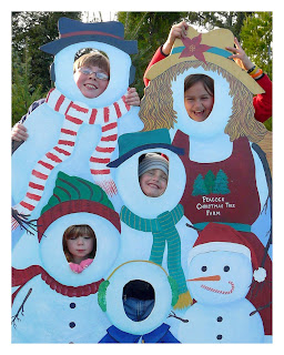 Gift christmas farm shops tree Tree farm fun | Christmas tree store, Christmas tree shop, Christmas farm