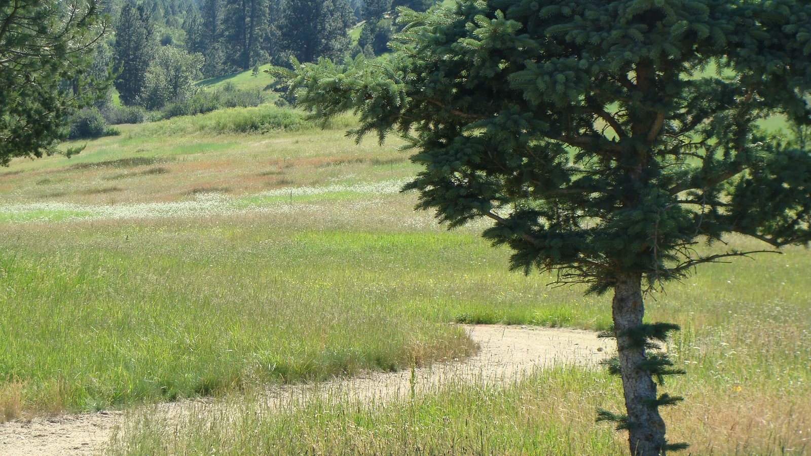 [Crosstimber+trail.JPG]