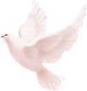 [1137611719.gif]