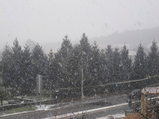 [P1100009.JPG]