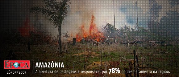 [amazonia.jpg]