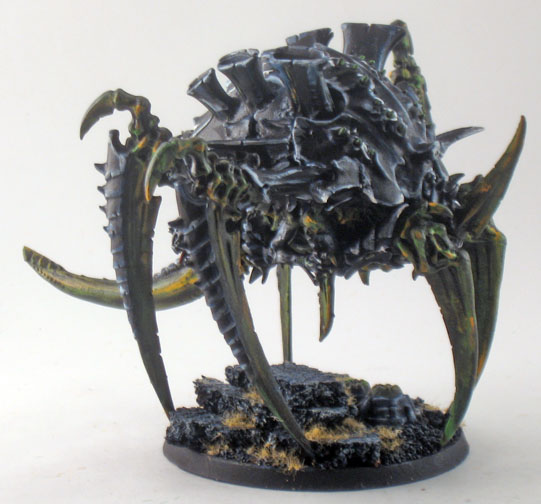 tervigon1.2.jpg