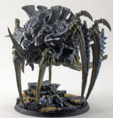 tervigon1.1.jpg