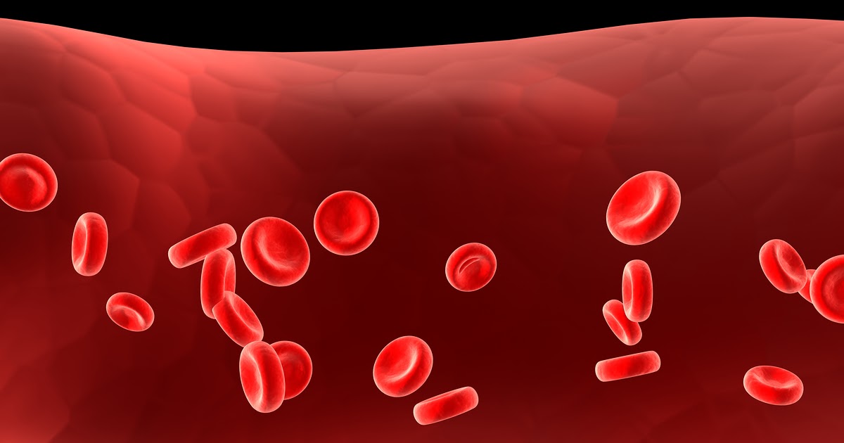 what is the iron content of blood