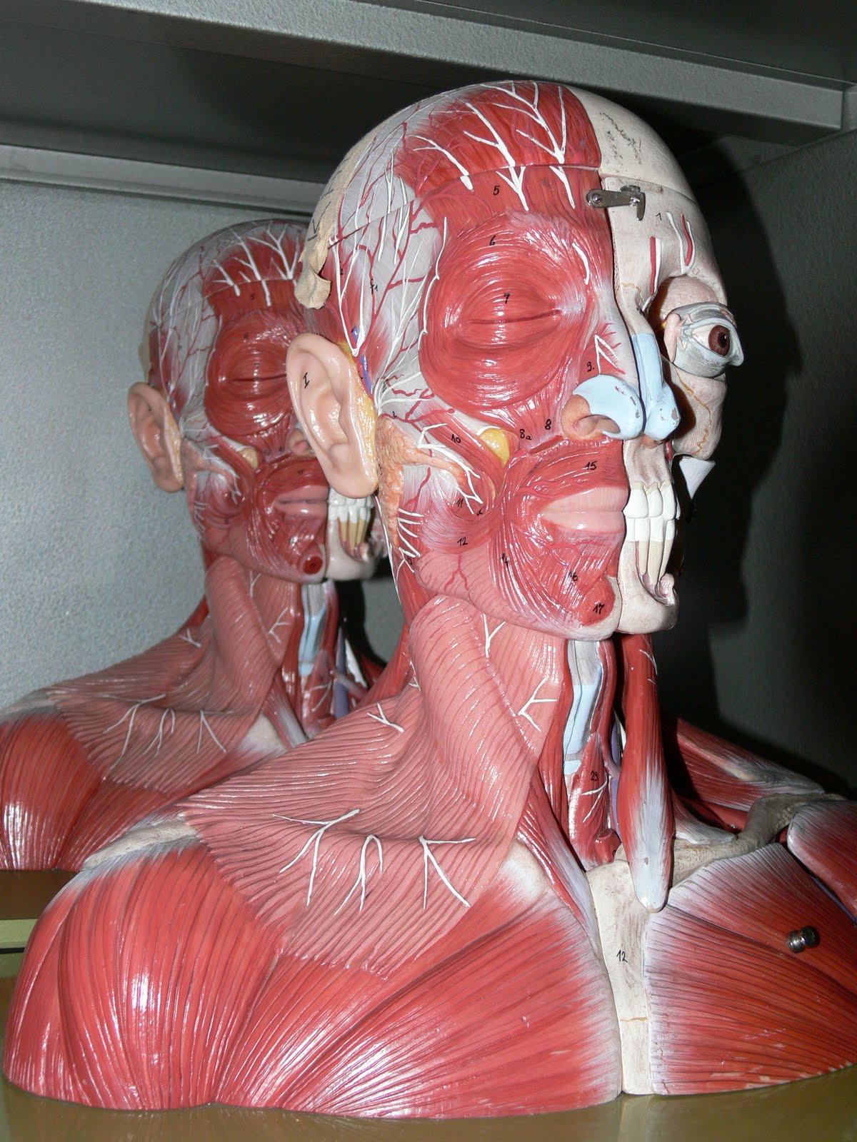 [P1120633.JPG]