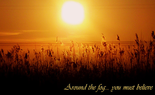 Around the fog...you must believe