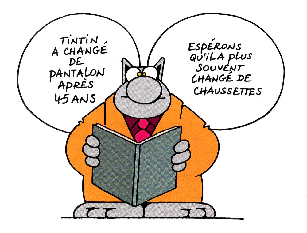 le_chat_et_tintin.jpg