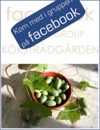 KÖKSTRÄDGÅRDEN på FACEBOOK