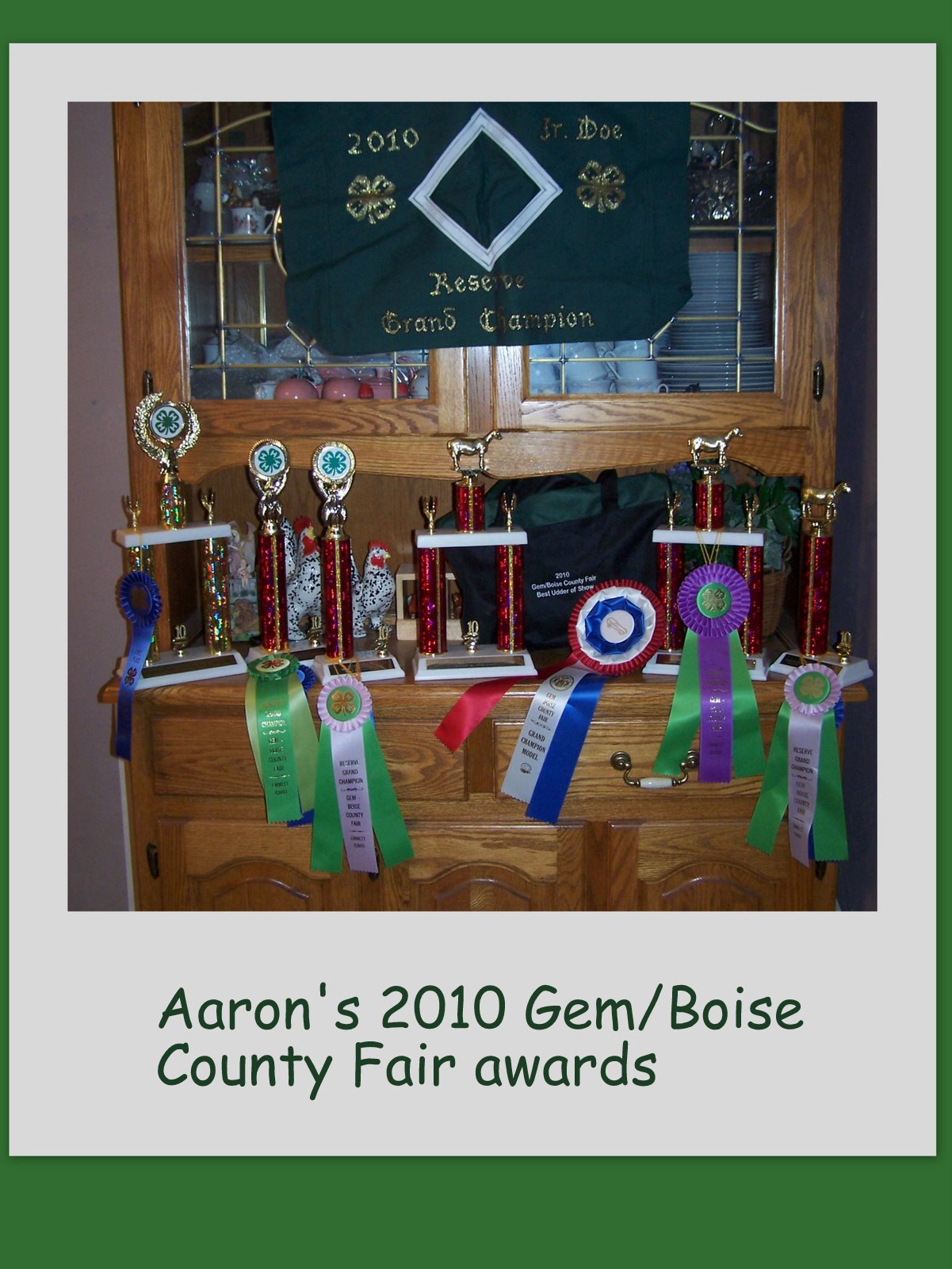 Cherry Butte Dairy Goats August 2010