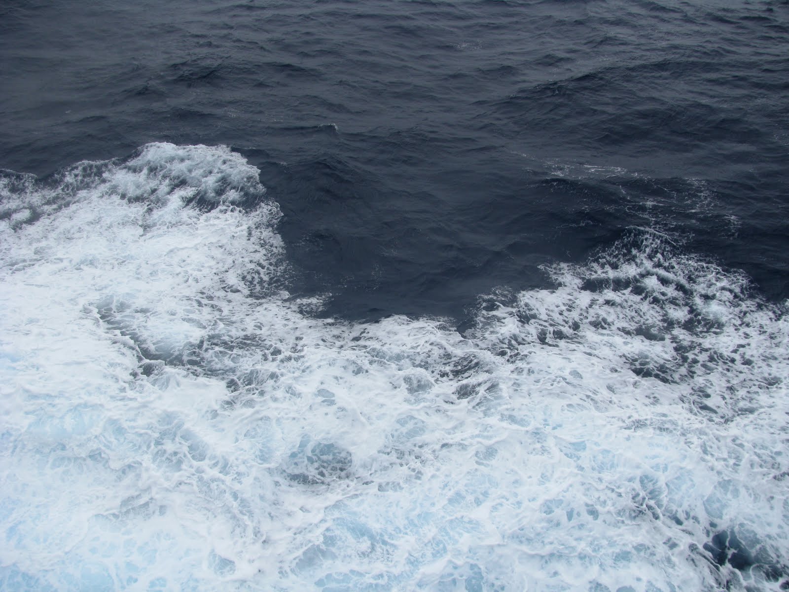[IMG_3119.JPG]