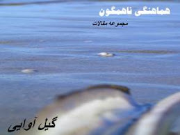 هماهنگی ناهمگون، مجموعه مقالات