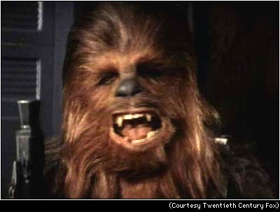 [chewbacca.jpg]