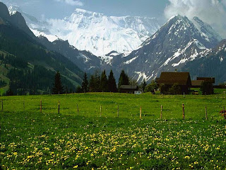 suiza9.jpg