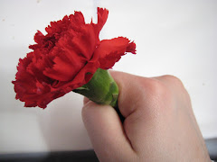 Cravo de Abril
