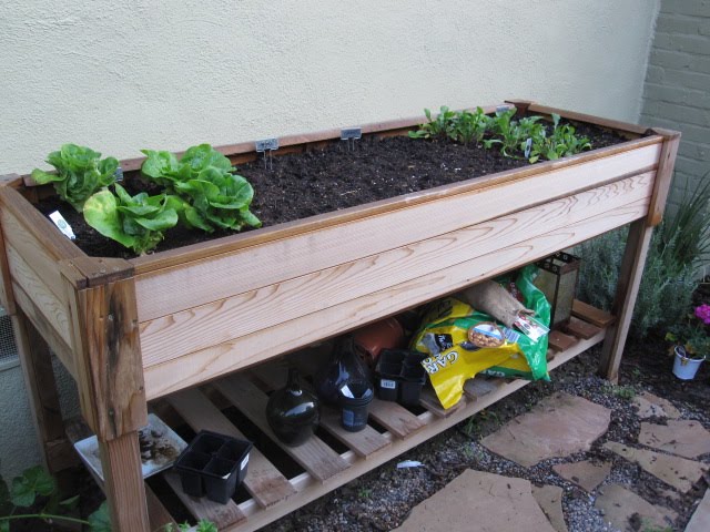[garden+box.JPG]