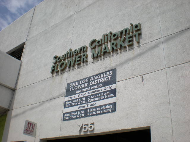 [DSCN0644.JPG]